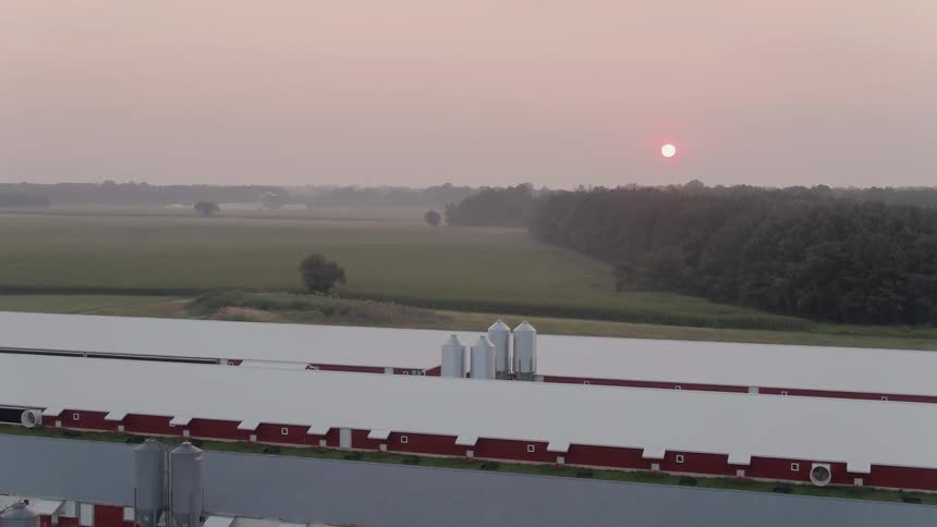 The forest behind this farm has fog rolling over it