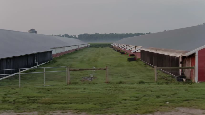 Rows of long red barns on a farm