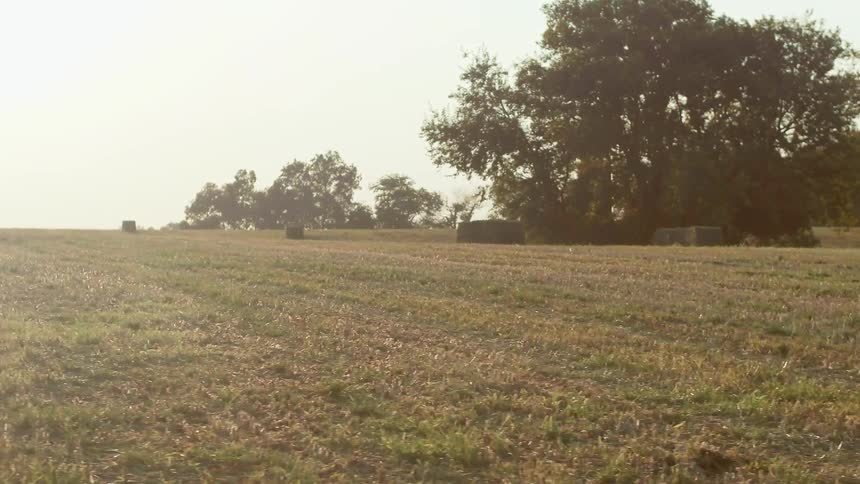 The hay stacks are spaced out on the farm