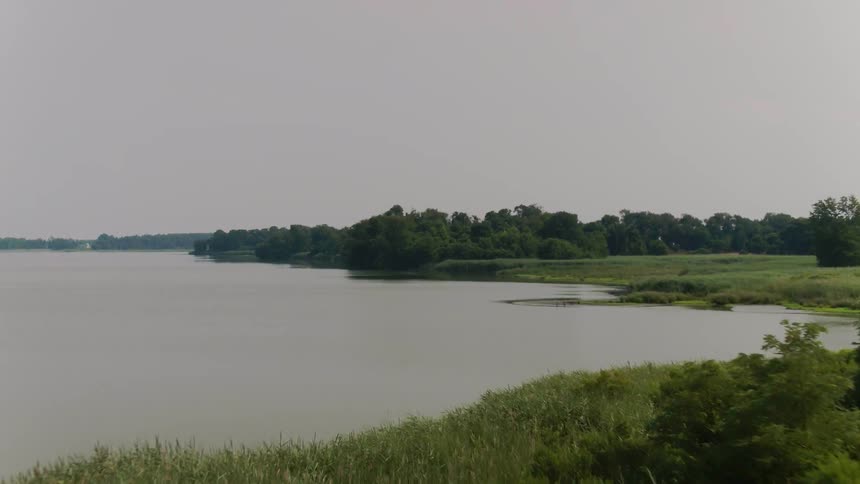 A river next to a forest and green field