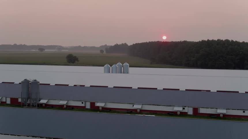 Long narrow barns sit near a forest