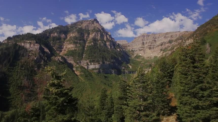 A forest of trees is being flown over towards a mountain range