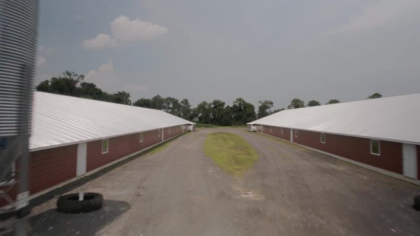 A grass strip is in the center between long farm buildings