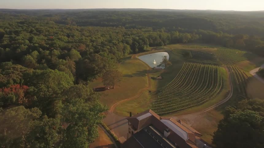 A vineyard is filmed from above