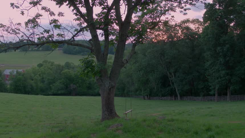 A empty swing is attached to a tree on a hillside at dusk