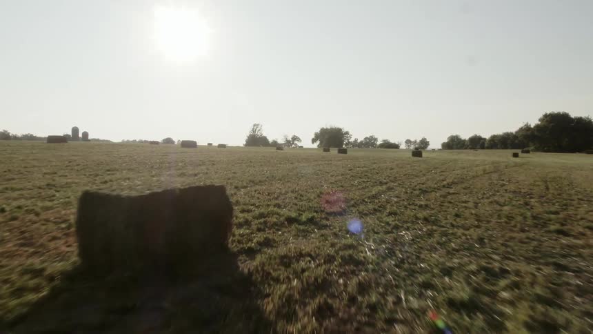 The field is full of green grass and hay stacks