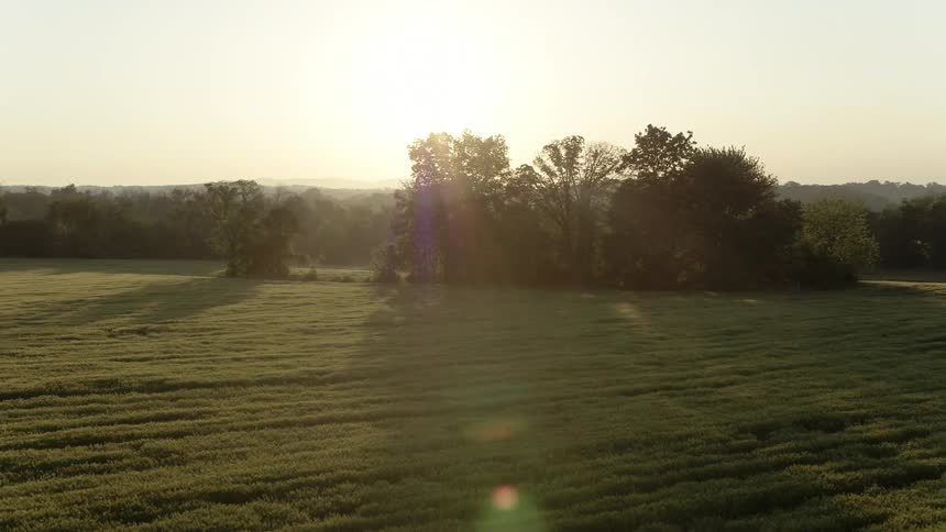 The sun shines on a large grassy field