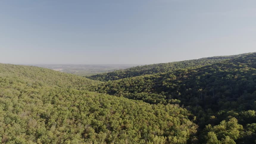 A lush green valley is filmed from below