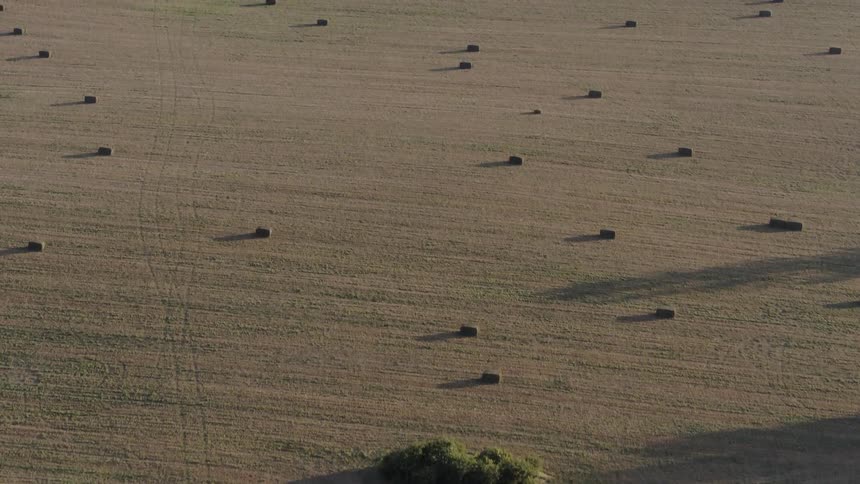 A drone is filming a large pasture