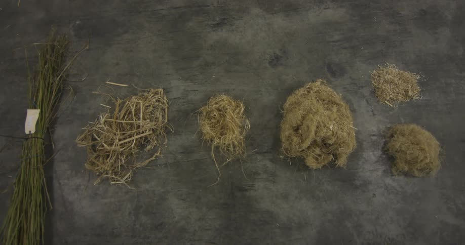 Overhead shot of different piles of hay