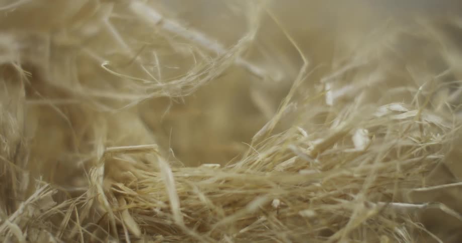 Up close of fibrous material
