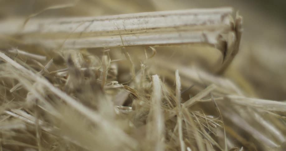 A pile of straw on the ground