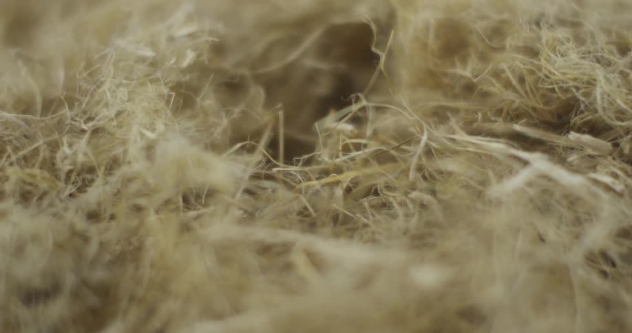 Brown straw on the floor