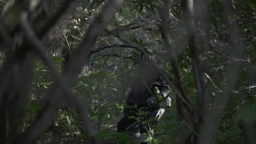 A man walks through the forest during the day