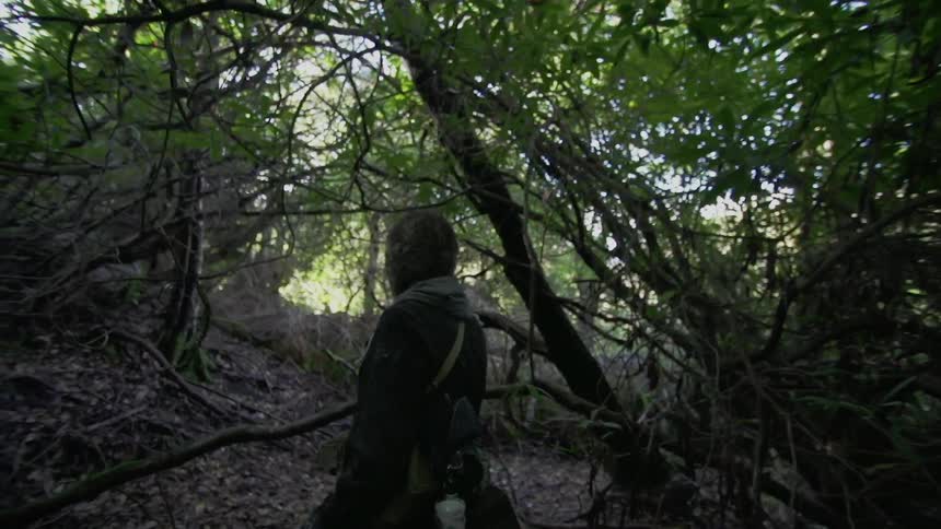 A woman is walking through the woods alone
