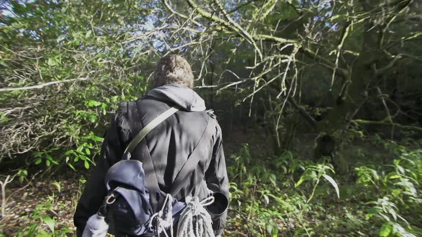 Man hiking through a forest on a sunny day