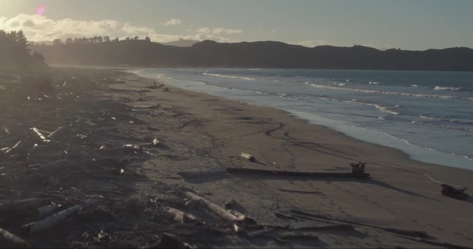 The shore is covered with broken trees