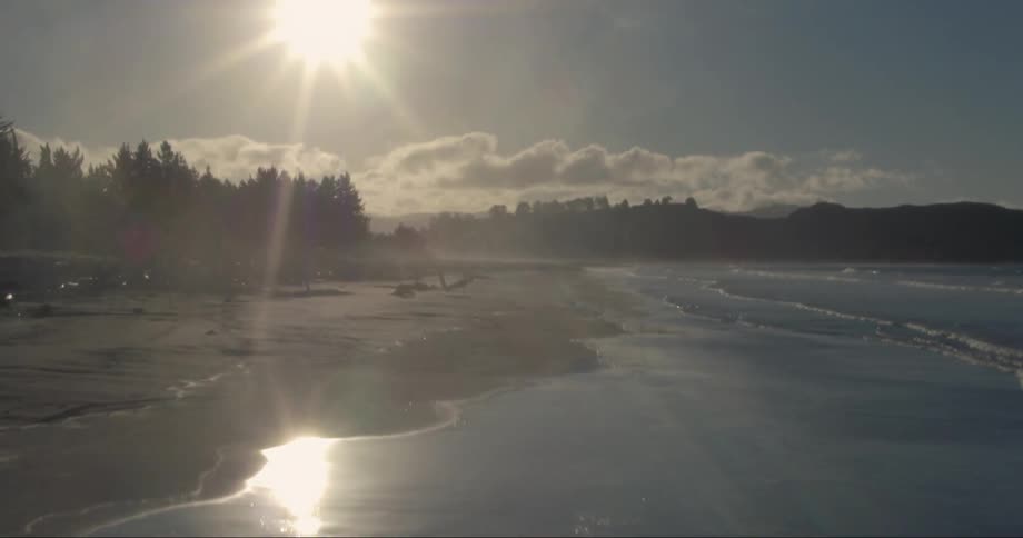 The sun shines down on a beach