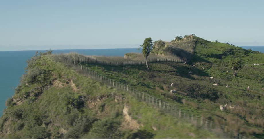A lush green cliff overlooks the ocean