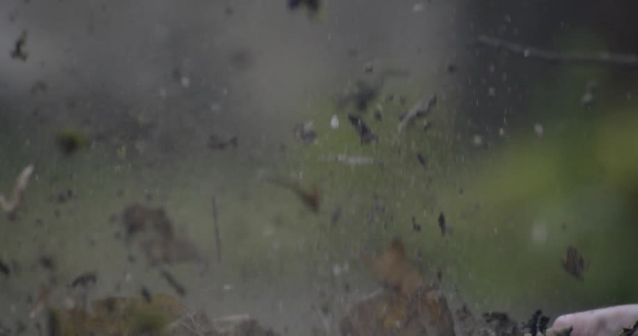 Dirt and twigs fly into the air
