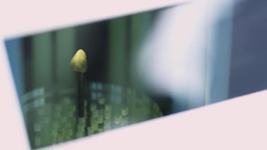 A tooth is spinning inside of a machinery
