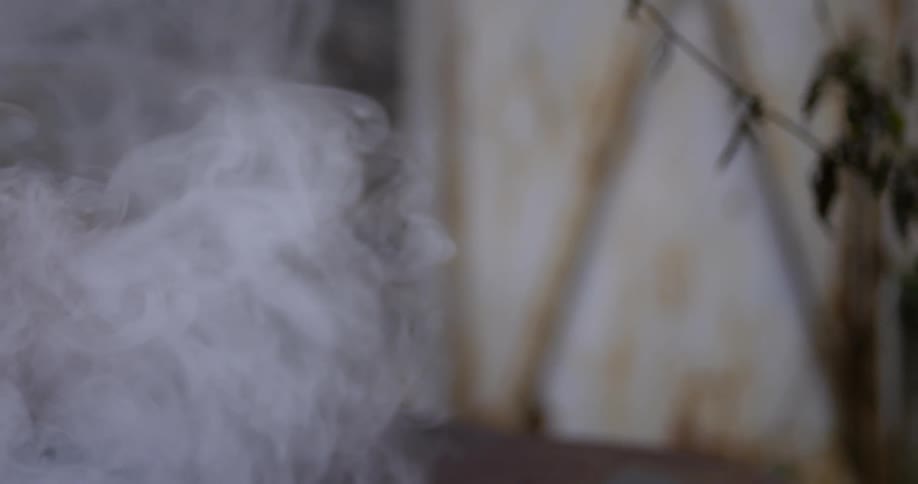 Smoke billows near a plant