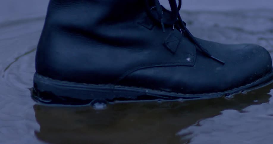 A tree is reflecting in a pool of water and then someone steps into the puddle
