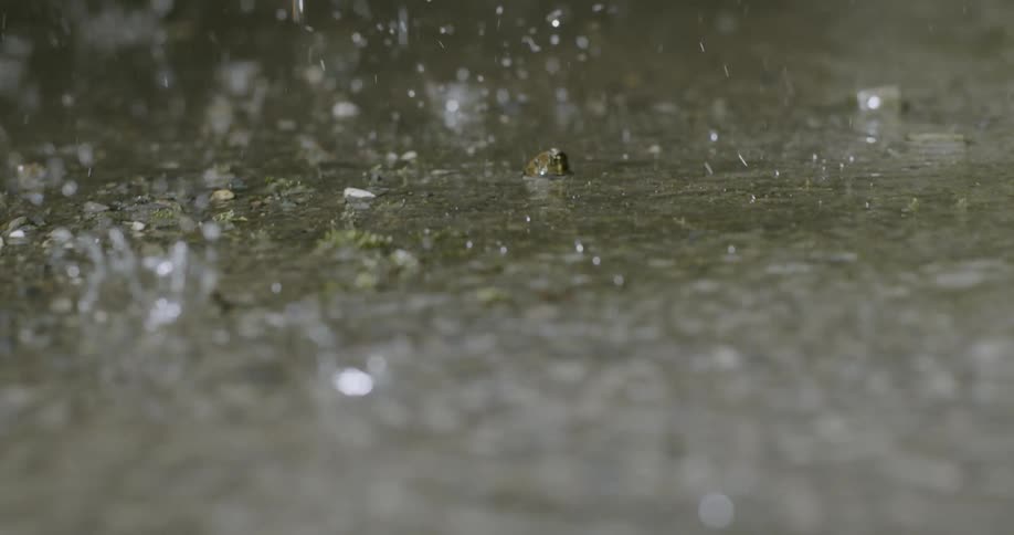 Raindrops fall to the ground
