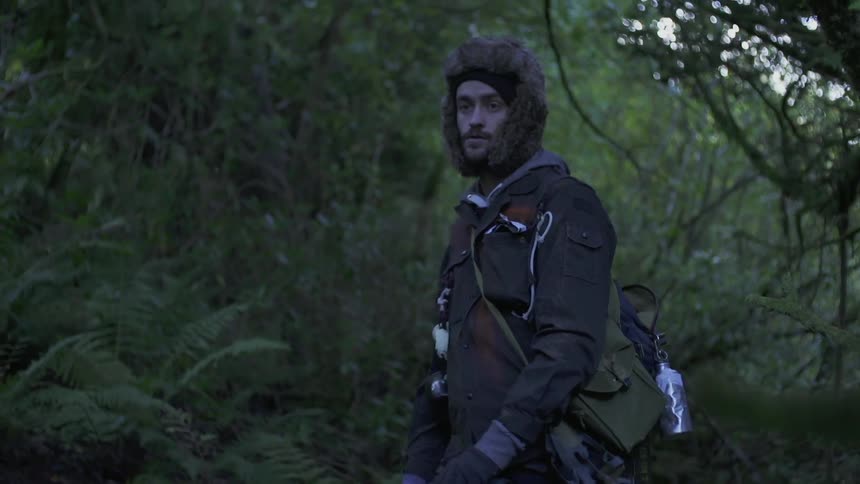 A man is walking alone in a forest