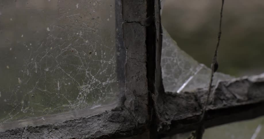 A cracked and foggy window