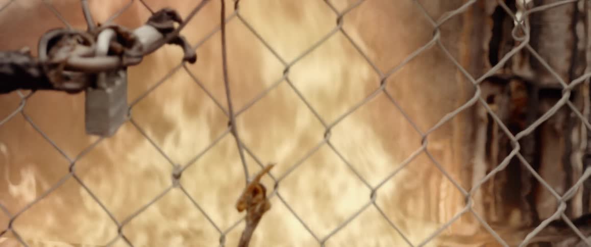 There is a huge fire behind this chain link fence