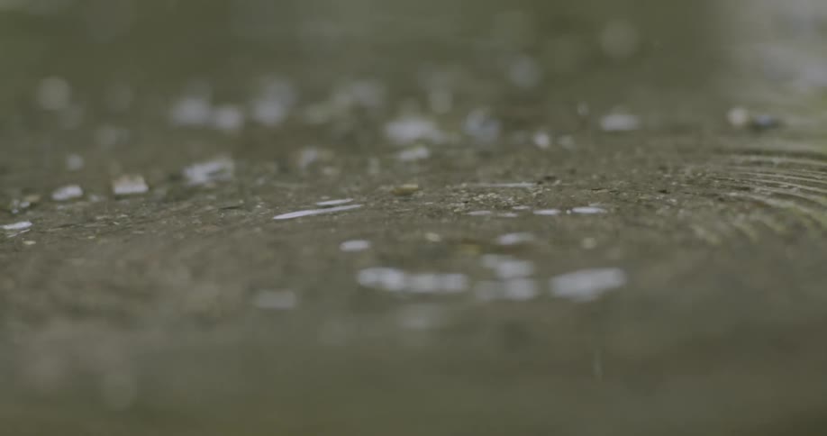 The rain slowly splashes in the puddle in the soil