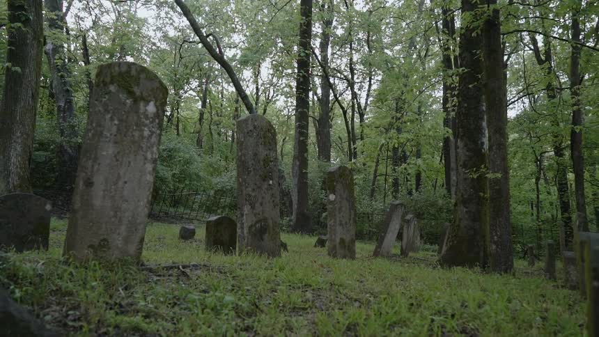 Cemetery stones sit on grassy land in the forest
