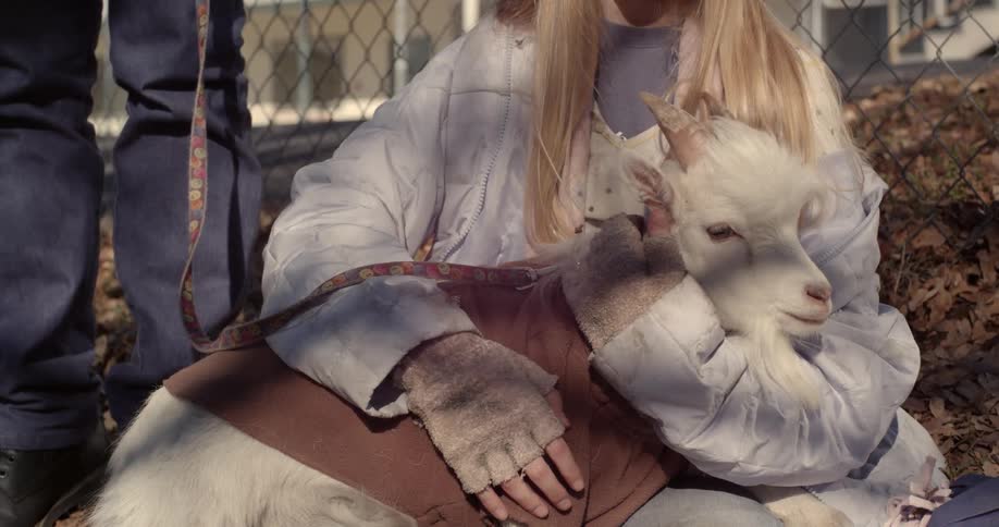 A girl is petting a white goat in the yard