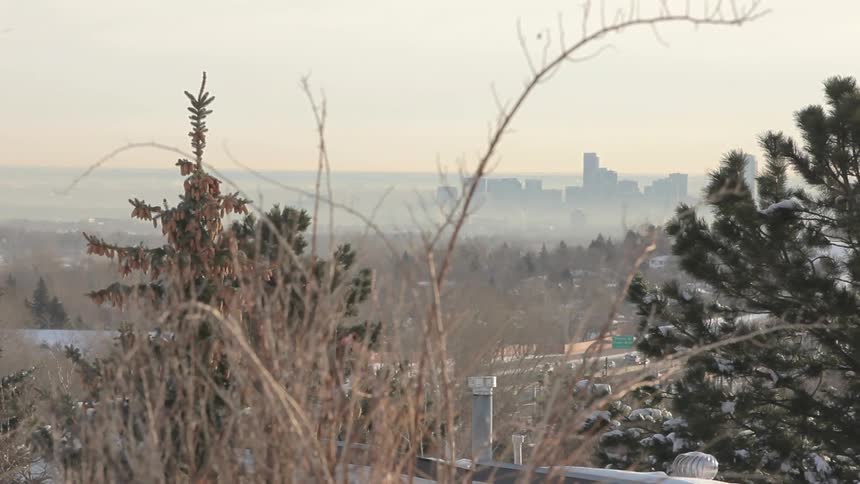 View from a hill behind trees of a road with cars traveling