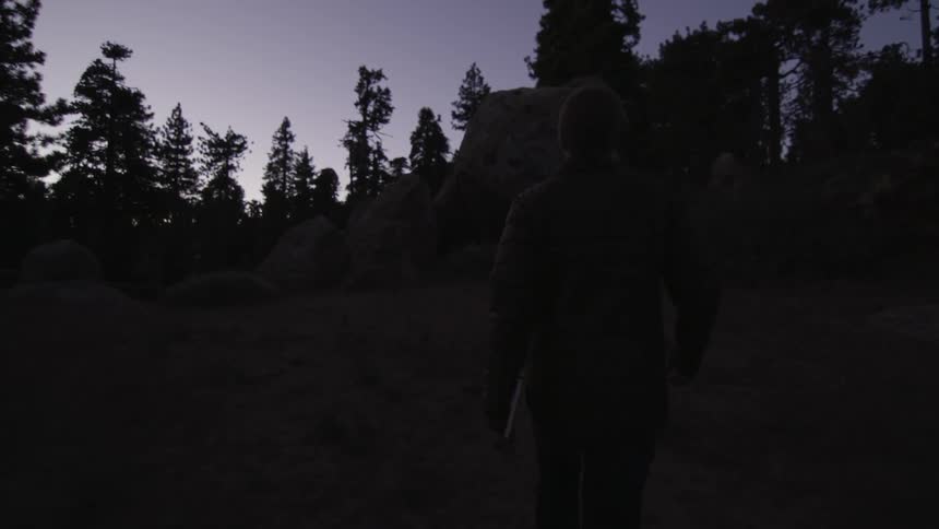 A person walks through a field at dusk