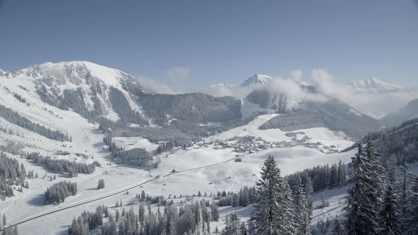 Snow covers trees and mountains