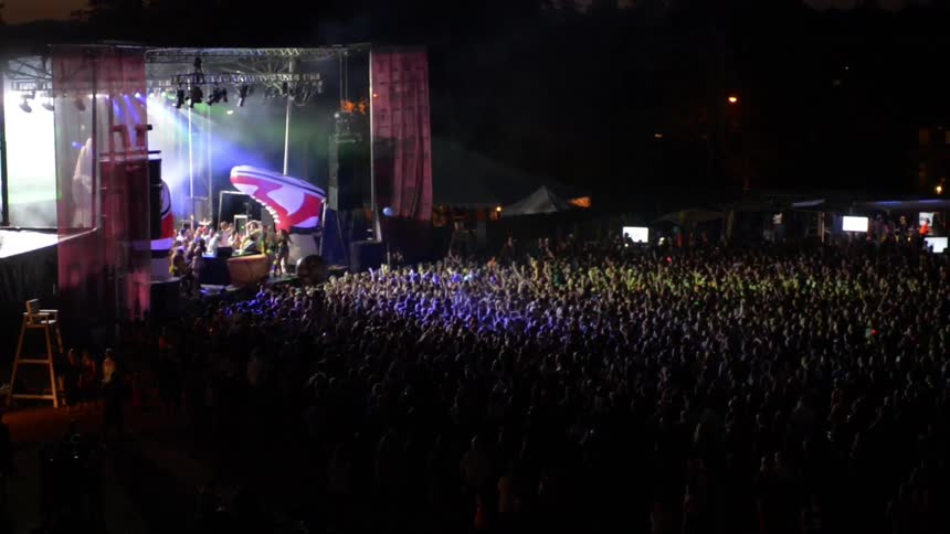 People at a concert
