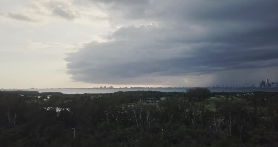 The forest and houses lead to the shore on a cloudy day