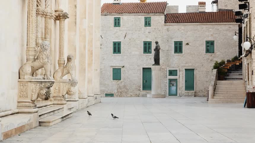 Pigeons walk in an old world plaza during the day