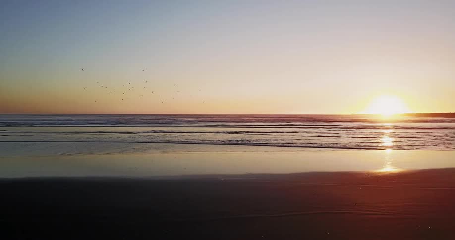 The birds fly over the beach at sunset as a man walks past
