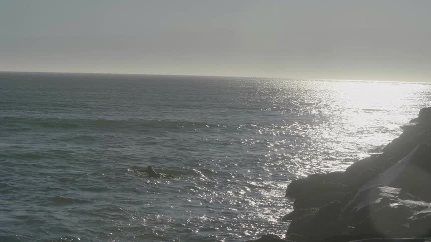 A surfer paddles out into the ocean off a rocky coast