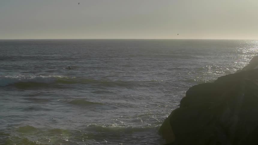 Someone is paddling out into the ocean to surf