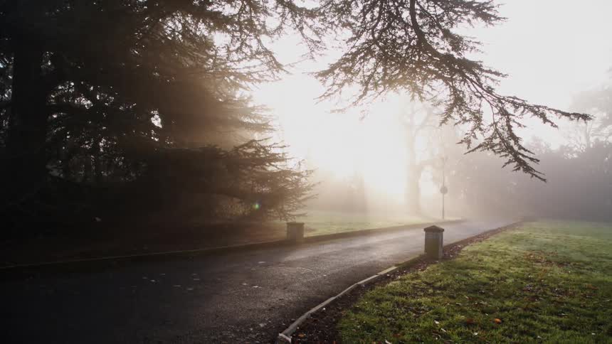 A roadway next to trees and grass with the sky in the background