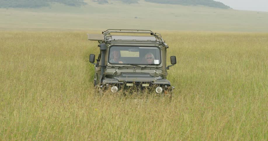 A truck is driving through the very tall grass
