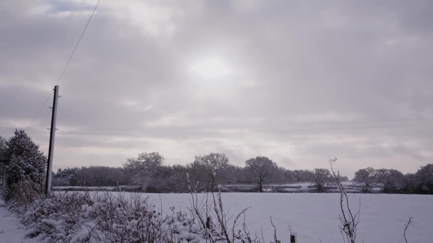 A view of a field, hedge and power line on a cloudy winter day