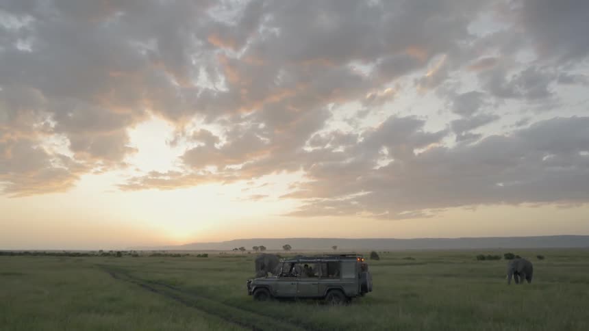 A vehicle drives by elephants on a safari at sunset