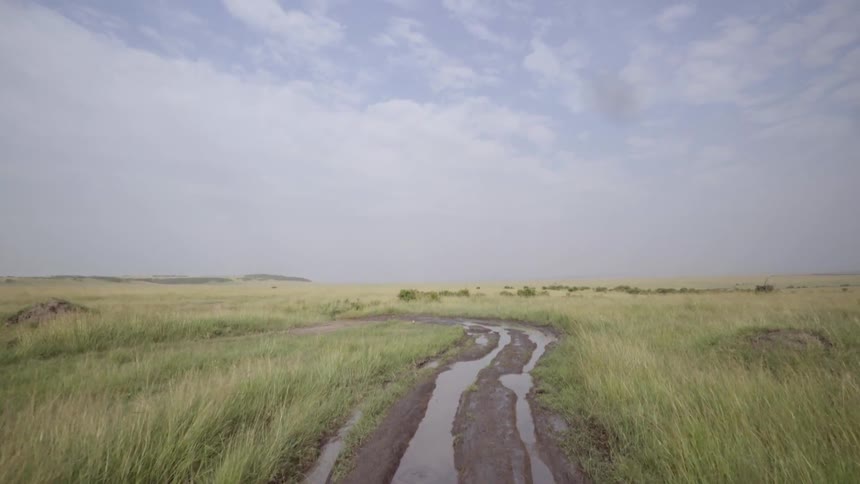 Vehicle drives on a muddy rural road