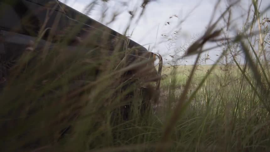 A vehicle drives through tall grass