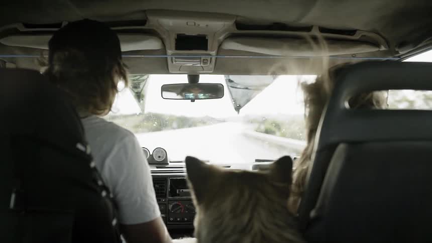 A man and woman converse in a car